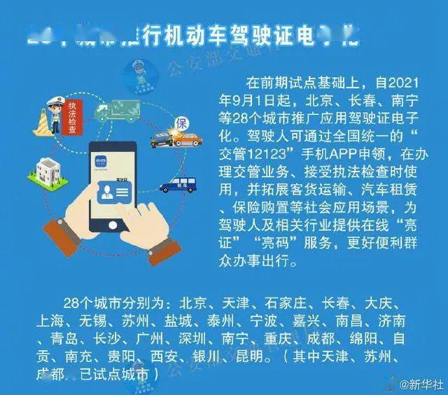 新奥2025年免费资料大全,警惕虚假宣传,实时解答解释落实_B46.535